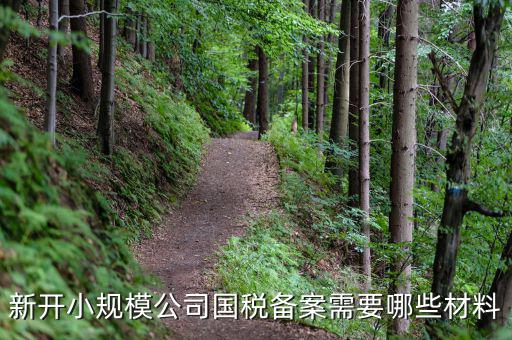 國(guó)稅備案需要什么材料，新開(kāi)小規(guī)模公司國(guó)稅備案需要哪些材料