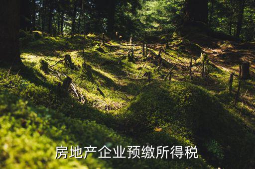 房地產(chǎn)預(yù)繳是什么意思，房?jī)r(jià)預(yù)交1萬(wàn)抵2萬(wàn)是什么意思