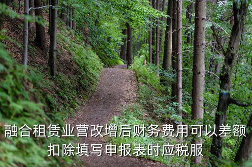 應(yīng)稅服務(wù)扣除項(xiàng)目清單干什么用，應(yīng)稅服務(wù)扣除項(xiàng)目清單中允許扣除項(xiàng)目金額指的是什么是總