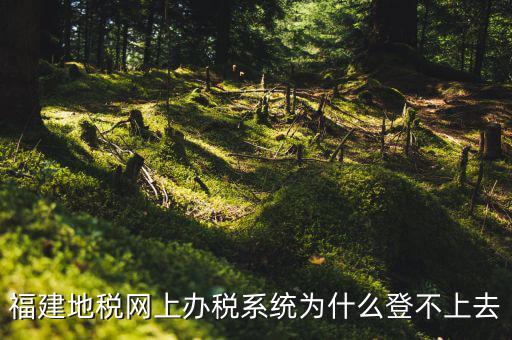 企業(yè)所得稅系統(tǒng)為什么登不上，福建地稅網(wǎng)上辦稅系統(tǒng)為什么登不上去