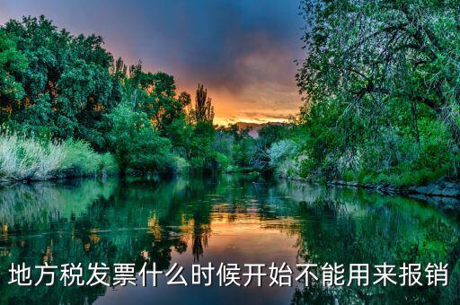 地方稅發(fā)票什么時(shí)候開(kāi)始不能用來(lái)報(bào)銷