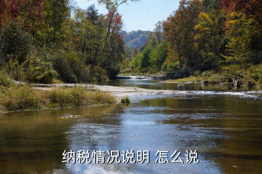 稅收說明是什么，稅收是什么意思