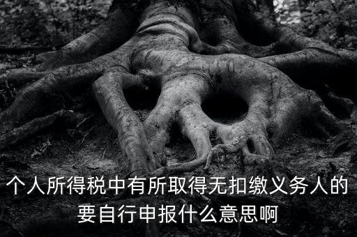 什么叫自行申報，個人所得稅中有所取得無扣繳義務人的要自行申報什么意思啊