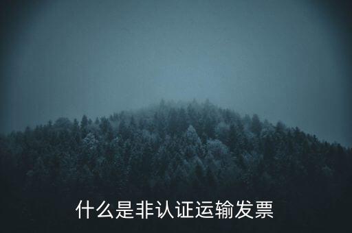 運輸票是什么，運輸發(fā)票是普通發(fā)票嗎