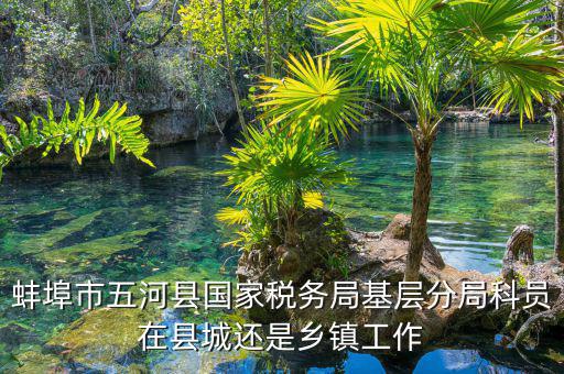 懷遠(yuǎn)稅務(wù)局在什么地方，蚌埠市五河縣國(guó)家稅務(wù)局基層分局科員在縣城還是鄉(xiāng)鎮(zhèn)工作