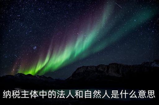 稅務局自然人綁定是什么意思，納稅主體中的法人和自然人是什么意思