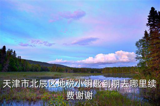 天津地稅小鑰匙密碼是什么，天津市北辰區(qū)地稅小鑰匙到期去哪里續(xù)費謝謝