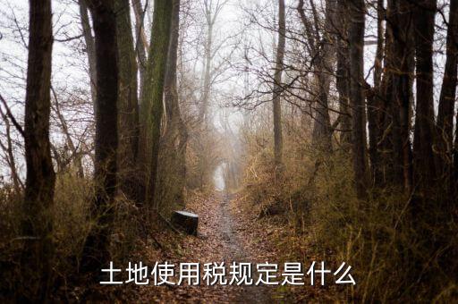 大宗商品土地使用稅指什么，土地使用稅