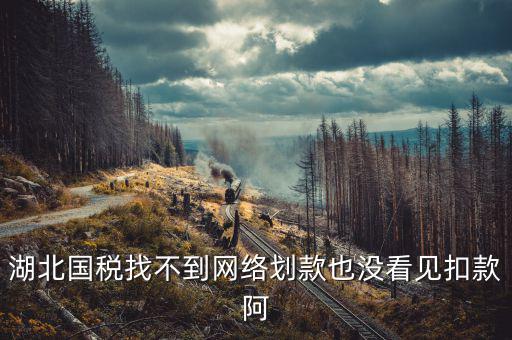 湖北省國稅局四個確保是什么，湖北國稅找不到網(wǎng)絡(luò)劃款也沒看見扣款阿