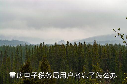 重慶電子稅務(wù)局的網(wǎng)址是什么意思，重慶市國稅電子申報委托繳稅的網(wǎng)址