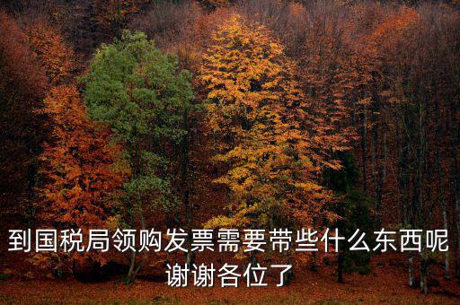 去國(guó)稅領(lǐng)發(fā)票需要帶什么，國(guó)稅領(lǐng)取發(fā)票需帶什么材料不是初次領(lǐng)購(gòu)