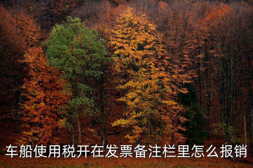 車船使用稅為什么在發(fā)票備注欄，保險(xiǎn)公司代收的車船稅稅款是填在備注欄里的么