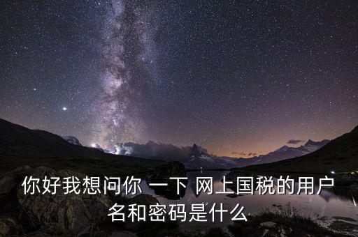 網(wǎng)上稅務(wù)辦理密碼是什么意思，國(guó)稅第一次網(wǎng)上申報(bào)的登陸密碼是什么