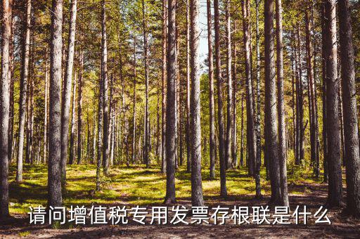 發(fā)票存根聯(lián)是什么，發(fā)票存根聯(lián)是按發(fā)票購領(lǐng)本上領(lǐng)購的本數(shù)裝訂還是25張裝訂一冊