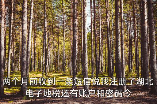 地稅什么時(shí)候會(huì)給電子稅務(wù)密碼，報(bào)地稅的時(shí)候登陸密碼每天有幾次輸入機(jī)會(huì)