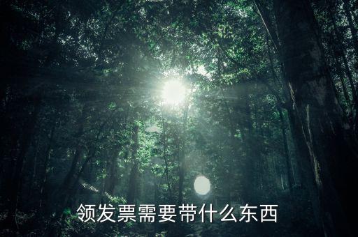 領發(fā)票需要帶什么東西