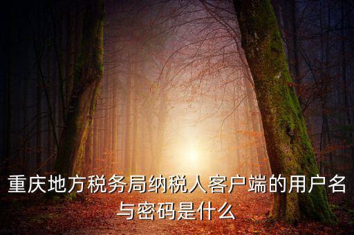 重慶國稅電子發(fā)票登錄密碼是什么，國稅局發(fā)票軟件里用戶代碼和密碼是什么