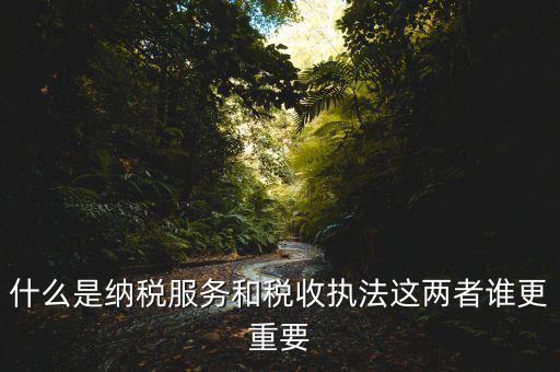 地稅納服是做什么，求助地稅納稅服務這個崗位有發(fā)展前景么