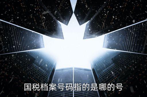 國稅號碼是什么，什么是國稅檔案號