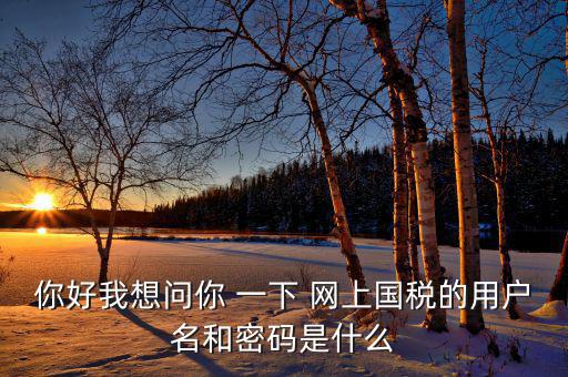 電子稅務(wù)的賬號(hào)密碼是什么，你好我想問(wèn)你 一下 網(wǎng)上國(guó)稅的用戶名和密碼是什么