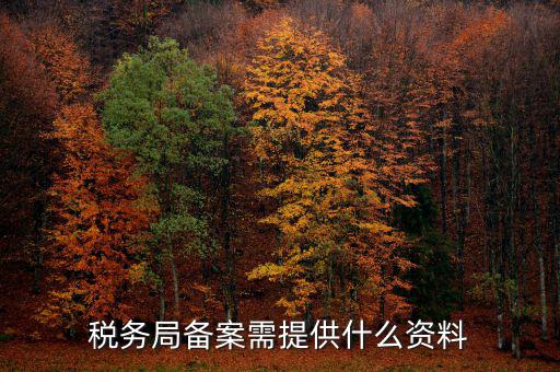 稅務(wù)局備案需提供什么資料，稅務(wù)局備案需提供什么資料