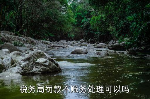 對(duì)稅務(wù)局罰款不公有什么辦法，稅務(wù)局罰款不賬務(wù)處理可以嗎