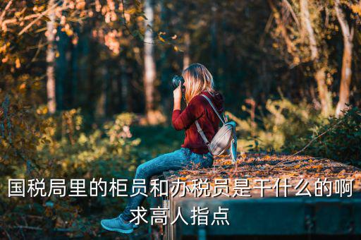 國(guó)稅局導(dǎo)稅員干什么的，國(guó)稅局里的柜員和辦稅員是干什么的啊求高人指點(diǎn)
