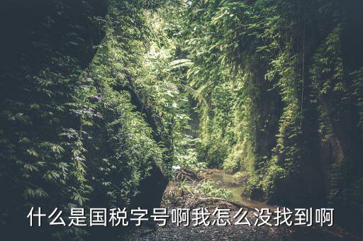 什么是國稅字號(hào)啊我怎么沒找到啊