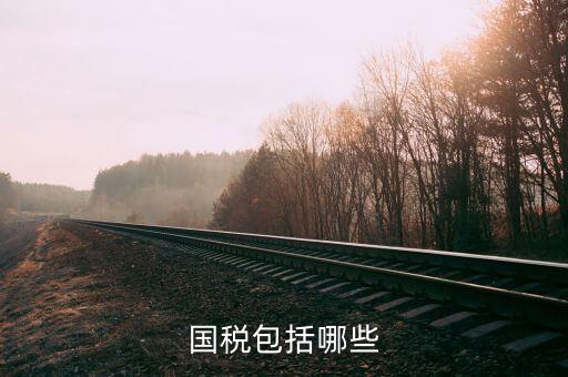 國(guó)稅51n指什么，國(guó)稅案檔號(hào)碼