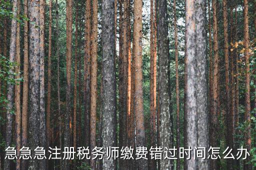 廣東省稅務(wù)師會費什么時候交，廣州2013年的匯算清繳報告什么時候交