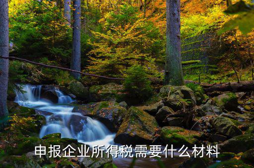 企業(yè)所得稅補(bǔ)申報(bào)需要什么，申報(bào)企業(yè)所得稅需要什么材料