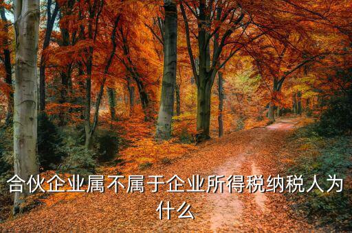 合伙企業(yè)為什么是個(gè)稅納稅人，合伙企業(yè)屬不屬于企業(yè)所得稅納稅人為什么
