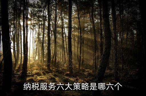 六大減稅措施是什么，針對(duì)個(gè)稅的減稅政策有哪些