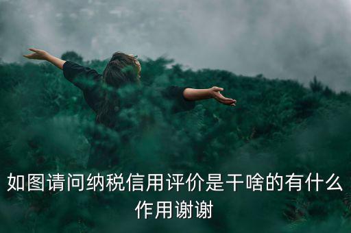 如圖請(qǐng)問納稅信用評(píng)價(jià)是干啥的有什么作用謝謝