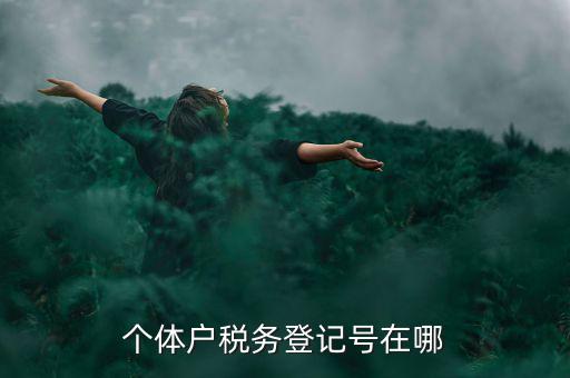 個(gè)體戶稅務(wù)登記號(hào)在哪