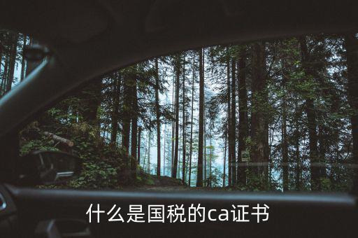 ca稅務(wù)數(shù)字證書(shū)是什么，什么是國(guó)稅的ca證書(shū)