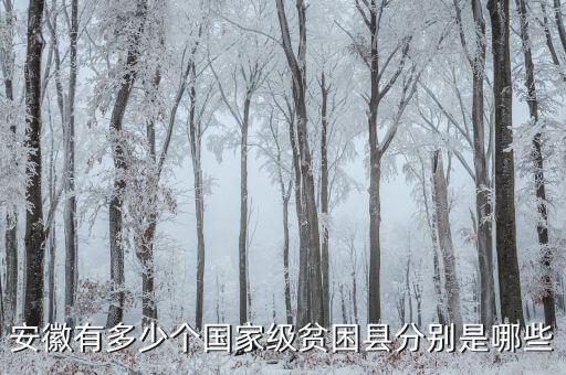 壽縣稅務局在什么地方，壽縣在什么地方