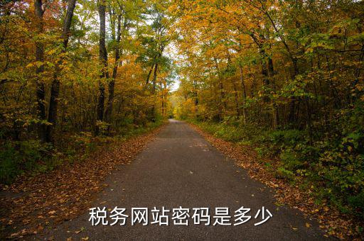 國稅登陸用戶名密碼是什么，電子稅務(wù)局密碼怎么查