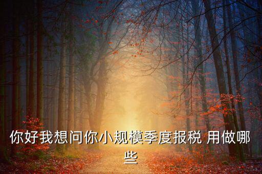 你好我想問(wèn)你小規(guī)模季度報(bào)稅 用做哪些