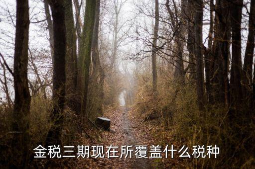 金三稅務系統(tǒng)報什么稅，金三系統(tǒng)怎樣申報企業(yè)所得稅稅收優(yōu)惠
