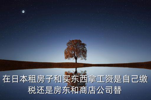 日本租稅法是什么稅，在日本租房子和買(mǎi)東西拿工資是自己繳稅還是房東和商店公司替