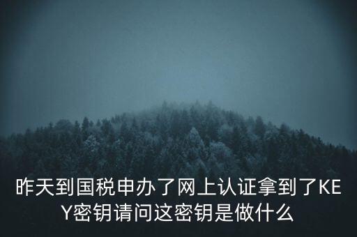 稅務(wù)認(rèn)證密碼是什么，昨天到國稅申辦了網(wǎng)上認(rèn)證拿到了KEY密鑰請(qǐng)問這密鑰是做什么
