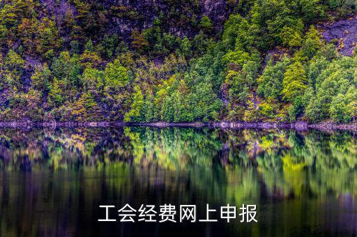 工會經(jīng)費在什么地方申報，有關(guān)工會經(jīng)費申報的問題