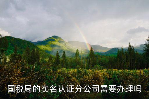 四川國(guó)稅局實(shí)名認(rèn)證需要什么手續(xù)，在國(guó)稅局辦理法人實(shí)名制認(rèn)證要帶什么材料