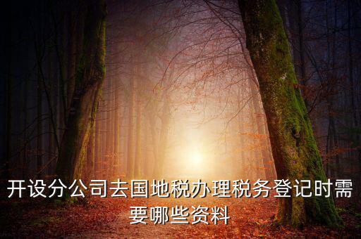 分公司地稅辦理需要什么材料，辦理分公司的稅務登記證需要準備哪些資料