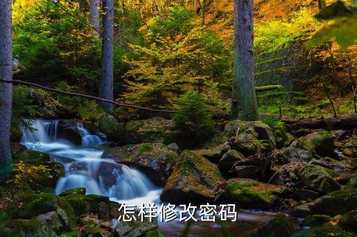 怎樣改國稅密碼是什么，山東省國家稅務局網(wǎng)上辦稅平臺納稅人的密碼怎么改