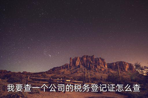 股東如何查詢企業(yè)稅務，我要查一個公司的稅務登記證怎么查
