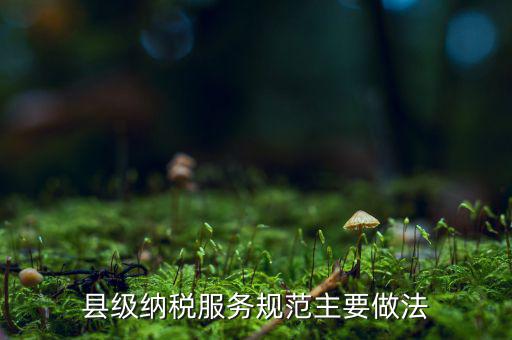 如何納稅的便民措施，如何提高納稅人滿意度 中國(guó)稅務(wù)報(bào)
