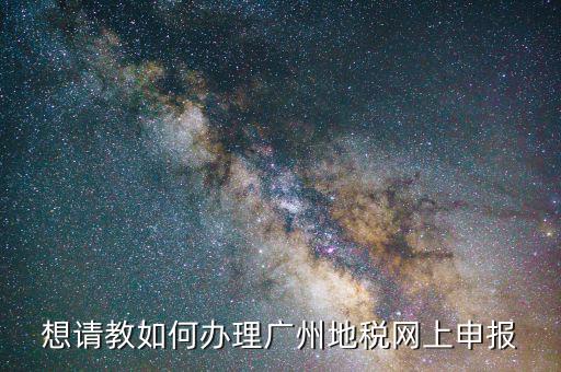 想請教如何辦理廣州地稅網上申報