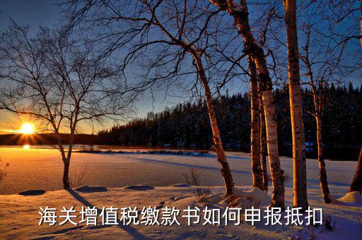 海關(guān)增值稅如何抵扣，海關(guān)增值稅繳款書如何申報抵扣